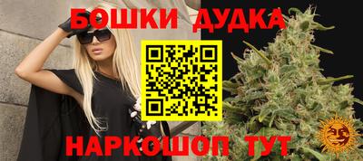 гашик Бузулук