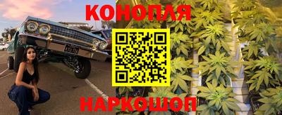 гашик Бузулук