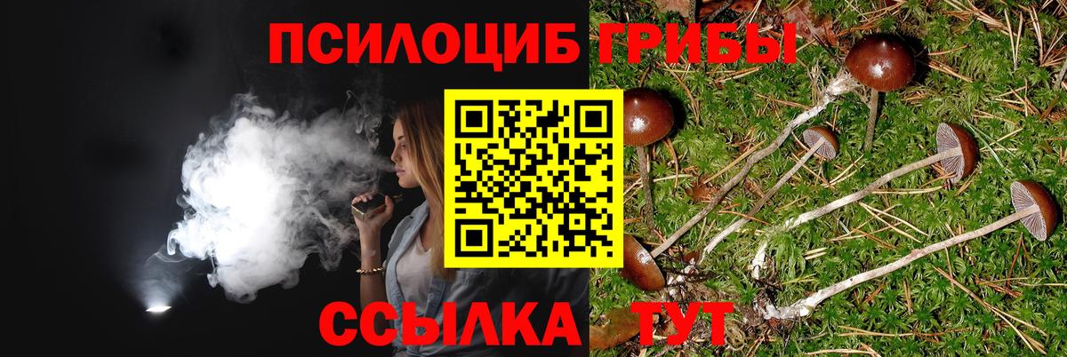 Псилоцибиновые грибы Cubensis  Вход с VPN  Костомукша 
